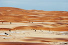 Namib Dunes